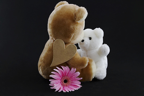 포토 JPG 해외이미지 곰 가족 포옹 엄마 검은배경 키스 사랑 사람없음 흰색 하트 아기 황금 선탠 부드러움 솜털 폭식 돌봄 카피스페이스 해외202004 해외포토 모양 동물 감정 컬러 백그라운드 포유류 관계 안기 모션 사람 검은색 공백 감각 애정표현 파일형식 이미지허브