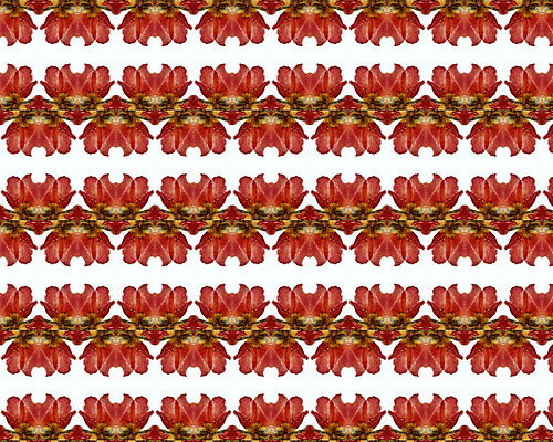 포토 JPG 해외이미지 모양 디자인 꽃 종이 벽 백그라운드 잎 꽃무늬 패턴 곡선 일러스트 자연 벽지 프레임 형상 미술 사람없음 그래픽 장식 컴퓨터 골동품 소용돌이 직물 화려 고급 우아함 실크 두루마리 가득함 그림 질감 복고 정사각형 구식 바로크 빅토리아 엘리먼트 옛날 회복 스타일 해외202004 해외일러스트 도형 식물 선 컨셉 무늬 문화예술 전자제품 회오리 생태계 파일형식 이미지허브