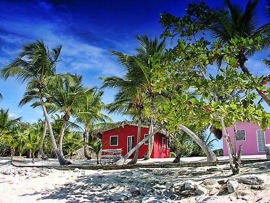포토 JPG 해외이미지 나무 모래 벽 섬 잎 건축양식 창문 하늘 부동산 주택 사람없음 야외 건물 빨간색 파란색 컬러풀 야자수 장미 노란색 도미니카공화국 해외202004 해외포토 식물 건축물 건축 꽃 컬러 남아메리카 재산 파일형식 이미지허브
