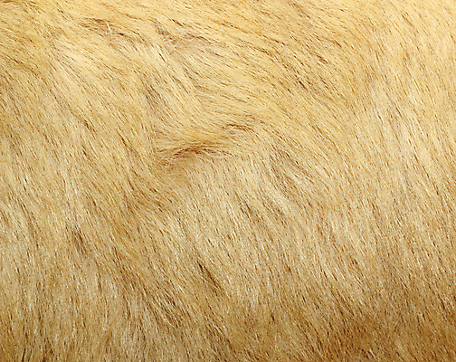 포토 JPG 해외이미지 동물 디자인 옷 백그라운드 겨울 패턴 곰 포유류 자연 벽지 추상 털 따뜻함 사람없음 장식 유행 회색 코트 흰색 우아함 가죽 북극 피부 묘사 질감 부드러움 솜털 내추럴 해외202004 해외포토 계절 컬러 컨셉 무늬 신체부위 외투 감각 극지방 생태계 파일형식 이미지허브