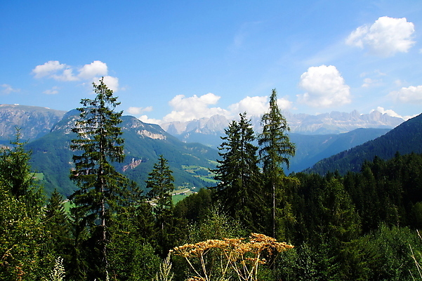 포토 JPG 해외이미지 사람없음 여름 해외202004 해외포토 계절 파일형식 이미지허브