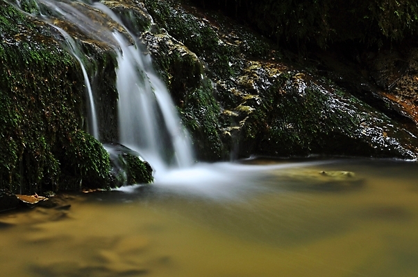 포토 JPG 해외이미지 나무 식물 공원 여행 백그라운드 잎 모션 태국 자연 휴가 풍경 사람없음 야외 목재 초록색 물 여름 강 평화 환경 봄 활발 폭포 젖음 흐름 성장 가을 바위 신선 개울 떨어짐 숲 시원함 순수 내추럴 이국적 해외202004 해외포토 자연요소 계절 공공시설 아시아 컬러 컨셉 재료 돌_바위 생태계 파일형식 이미지허브