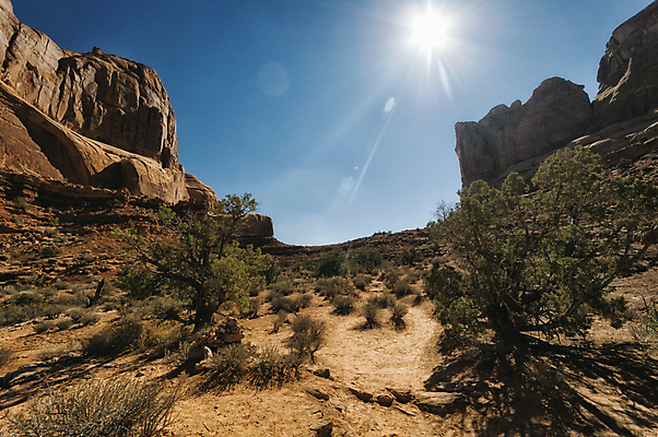 포토 JPG 해외이미지 공원 모래 여행 자연 하늘 휴가 산 건조 국립공원 풍경 사람없음 야외 여름 파란색 태양 미국 사막 암석 뜨거움 황무지 고독 보호 암초 멀리 땅바닥 생태학 서쪽 지질학 해외202004 해외포토 자연요소 계절 공공시설 교육 감정 컬러 컨셉 북아메리카 바닥 돌_바위 방향 생태계 파일형식 이미지허브