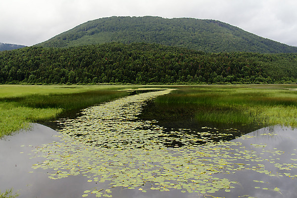 포토 JPG 해외이미지 구름 유럽 호수 여행 백그라운드 자연 아침 날씨 휴식 풍경 사람없음 야외 가로 물 여름 빛 태양 반사 평화 봄 고독 함선 장면 슬로베니아 파스텔톤 해외202004 해외포토 주간 자연요소 계절 감정 나라 컬러 컨셉 배_교통 생태계 파일형식 이미지허브