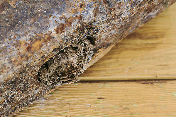 포토 JPG 해외이미지 산업 백그라운드 탁자 자 사람없음 목재 세트 노란색 쌓기 금속 검은색 장비 수확 골동품 도구 공구 스패너 업무 못 수리 망치 오브젝트 페인트붓 모음 정비공 조립 그런지 배관공 산화 옛날 작업대 철강 해외202004 해외포토 나무 컬러 가구 농업 재료 모션 재질 문구용품 붓 작업 기술자 파일형식 이미지허브