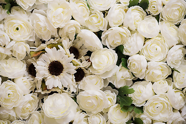 포토 JPG 해외이미지 식물 꽃잎 꽃 꽃다발 백그라운드 잎 꽃무늬 자연 탁자 선물 사람없음 장식 컬러풀 파티 식당 페인트 재활용 골동품 벚꽃 인사 도자기 닫기 냄비 플라스틱 배열 꽃집 묘사 질감 복고 고립 옛날 인공 해외202004 해외포토 컬러 가구 무늬 모션 재질 이벤트 상점 예절 솥 친환경 생태계 파일형식 이미지허브