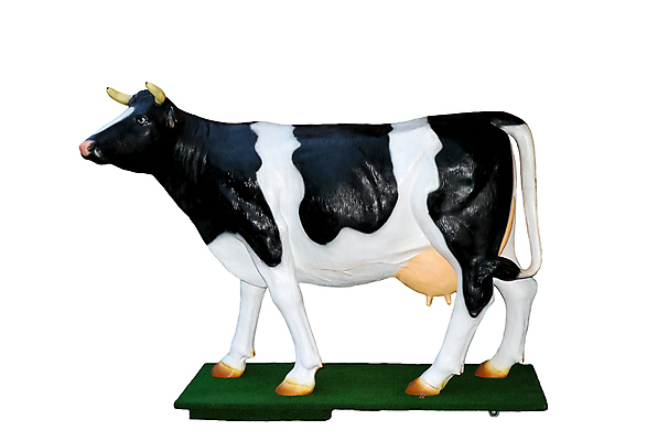 포토 JPG 해외이미지 동물 모델 유럽 문화 야생동물 백그라운드 포유류 자연 털 뿔 육류 서기 사람없음 초록색 농장 머리 판매 상점 검은색 전시 소고기 우유 흰색 시골 점 소 시장 제조 큼 가죽 전시회 심볼 피부 네덜란드 꼬리 젖 폭식 고립 밭일 양발 해외202004 해외포토 나라 컬러 농업 식재료 모션 유제품 신체부위 크기 생태계 파일형식 이미지허브