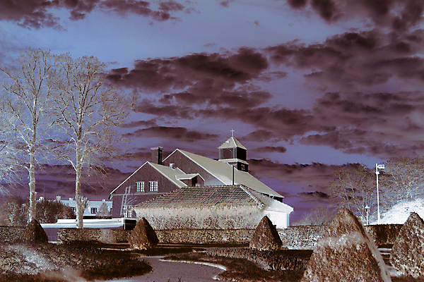 포토 JPG 해외이미지 나무 공원 스웨덴 사람없음 건물 도시 타운 적외선 채널 필터 해외202004 해외포토 식물 건축물 공공시설 북유럽 파일형식 이미지허브