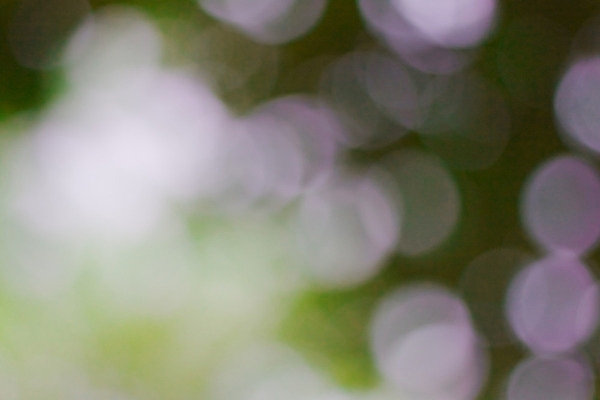 포토 JPG 해외이미지 디자인 행복 별 분홍색 백그라운드 크리스마스장식 일러스트 사람없음 빨간색 파란색 빛 반짝임 노란색 검은색 축제 원형 화려 우아함 소프트포커스 심볼 보케 빛망울 엘리먼트 해외202004 해외포토 자연요소 도형 감정 컬러 컨셉 크리스마스 모션 촬영기법 파일형식 이미지허브