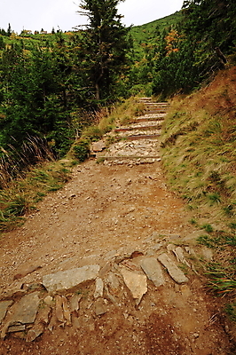 포토 JPG 해외이미지 나무 식물 구름 공원 유럽 도로 길 여행 백그라운드 자국 자연 하늘 산 풍경 사람없음 야외 초록색 여름 파란색 환경 계곡 시골 소나무 숲 오솔길 언덕 장면 내추럴 방법 해외202004 해외포토 자연요소 계절 공공시설 나라 컬러 교통시설 생태계 파일형식 이미지허브