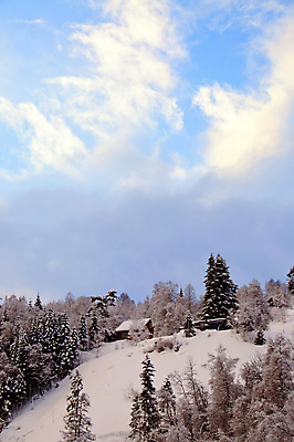 포토 JPG 해외이미지 나무 겨울 하늘 주택 풍경 사람없음 목재 빨간색 파란색 일몰 흰색 시골 정상 숲 편안함 작음 언덕 해외202004 해외포토 식물 계절 컬러 재료 건물 노을 감각 크기 파일형식 이미지허브