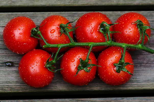포토 JPG 해외이미지 음식 줄기 백그라운드 컨셉 패턴 토마토 채소 과일 재료 부분 자연 탁자 아이디어 프레임 실내 건강 사람없음 빨간색 초록색 빛 젖음 신선 체리 그룹 큼 먹기 가득함 오브젝트 유기농 날것 슛 흙더미 숙성 채식주의자 해외202004 해외포토 식물 웰빙 컬러 가구 무늬 모션 내부 흙 크기 생태계 채식 파일형식 더미 이미지허브