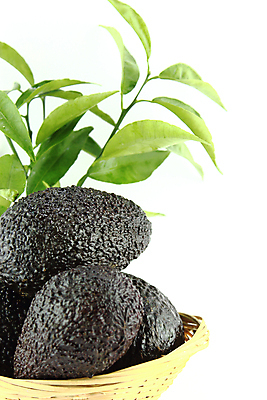 포토 JPG 해외이미지 라이프스타일 접시 잎 다이어트 자연 건강 사람없음 초록색 검은색 샐러드 껍질 흰색 신선 자르기 유기농 날것 아보카도 해외202004 해외포토 식물 식기 웰빙 음식 컬러 과일 모션 생활 생태계 파일형식 이미지허브