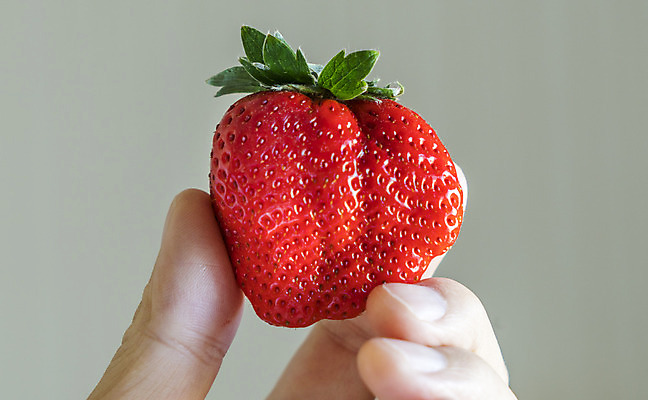 포토 JPG 해외이미지 모양 식물 라이프스타일 계절 열매 음식 잎 농업 과일 재료 자연 딸기 건강 사랑 씨앗 사람 사람없음 빨간색 초록색 여름 농작물 태양 농장 정원 식사 수확 성장 하트 신선 그룹 사발 달콤 농부 수집 먹기 주기 상쾌 유기농 원예 거인 숙성 해외202004 해외포토 자연요소 직업 웰빙 감정 산업 컬러 모션 취미 생활 사기그릇 맛 생태계 파일형식 이미지허브