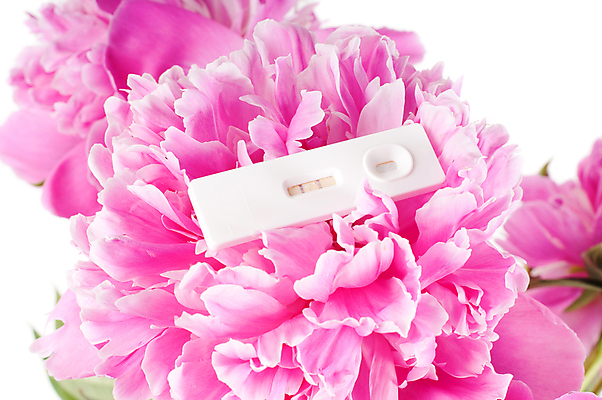 포토 JPG 해외이미지 식물 계절 꽃잎 꽃 줄기 분홍색 꽃다발 잎 꽃무늬 자연 선물 사람없음 장식 초록색 머리 정원 봄 활발 벚꽃 신선 개화 부드러움 내추럴 고립 작약 취급주의 파스텔톤 해외202004 해외포토 컬러 컨셉 무늬 경고 신체부위 감각 생태계 파일형식 이미지허브