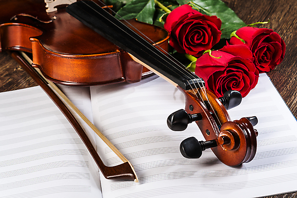포토 JPG 해외이미지 사람없음 장미 우아함 바이올린 악보 바이올린활 해외202004 해외포토 꽃 음악 컨셉 현악기 파일형식 이미지허브