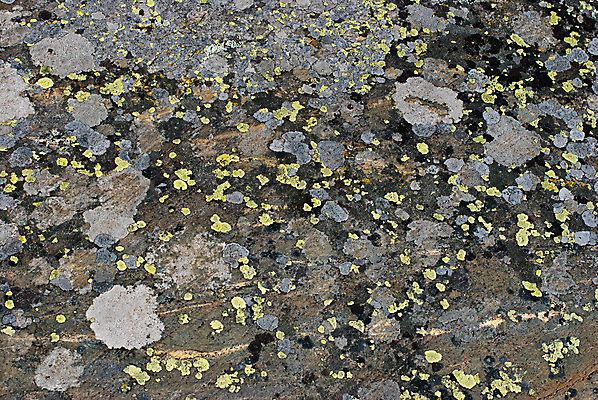 포토 JPG 해외이미지 디자인 외관 백그라운드 자연 표면 날씨 추상 사람없음 장식 갈색 회색 수확 바위 구멍 거친 닫기 묘사 질감 복고 내추럴 고체 그런지 옛날 콘크리트 해외202004 해외포토 컬러 무늬 농업 모션 돌_바위 생태계 파일형식 이미지허브