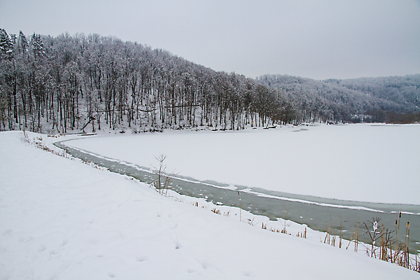포토 JPG 해외이미지 나무 계절 공원 호수 백그라운드 겨울 자연 하늘 날씨 산 파노라마 풍경 사람없음 야외 물 파란색 강 평화 환경 냉동 얼음 추위 흰색 시골 소나무 숲 12월 서리 장면 북쪽 1월 내추럴 2월 눈내림 해외202004 해외포토 자연요소 식물 공공시설 컬러 컨셉 눈_날씨 촬영기법 날짜 방향 생태계 파일형식 이미지허브
