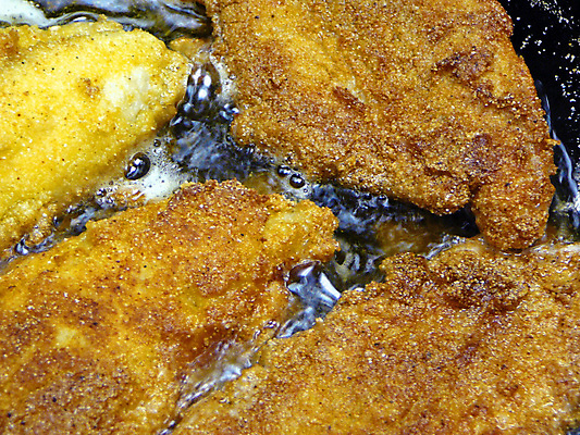 포토 JPG 해외이미지 음식 어류 요리 사람없음 튀김 남쪽 해외202004 해외포토 수중동물 방향 파일형식 이미지허브