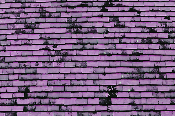 포토 JPG 해외이미지 전통 외관 선 분홍색 백그라운드 패턴 건축양식 지붕 추상 주택 사람없음 야외 건물 빛 검은색 회색 덮개 거친 클래식 닫기 보호 정상 옥상 타일 묘사 질감 그런지 옛날 줄서기 해외202004 해외포토 건축물 건축 컬러 컨셉 무늬 모션 뚜껑 파일형식 이미지허브