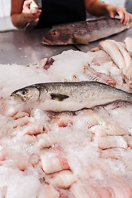 포토 JPG 해외이미지 백인 모델 무기 음식 관리 어류 사람없음 세로 냉동 얼음 죽음 시장 재산 해산물 옛날 해외202004 해외포토 자연요소 서양인 금융 수중동물 파일형식 이미지허브
