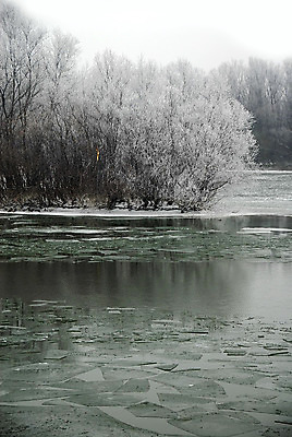 포토 JPG 해외이미지 주간 나무 겨울 사람없음 야외 강 얼음 겨울풍경 해외202004 해외포토 자연요소 식물 계절 풍경 파일형식 이미지허브