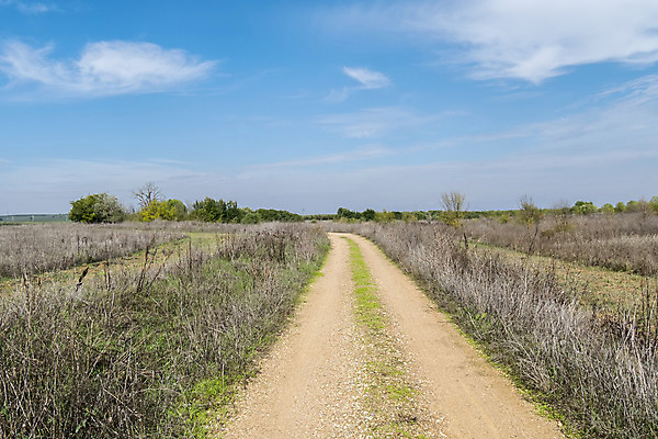 포토 JPG 해외이미지 나무 식물 구름 계절 도로 여행 밭 농업 교통시설 자연 하늘 풍경 사람없음 야외 초록색 여름 파란색 컬러풀 햇빛 태양 농경지 환경 침묵 트래킹 시골 분위기 저녁 숲 땅 방향 장면 내추럴 길가 밭일 해외202004 해외포토 자연요소 산업 길 컬러 교통 컨셉 레저 농장 소리 야간 시설 생태계 파일형식 이미지허브