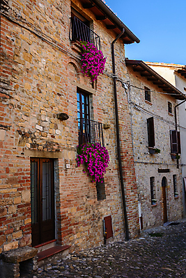포토 JPG 해외이미지 디자인 외관 꽃 유럽 벽 여행 꽃무늬 건축양식 창문 자연 유리 거리 아파트 주택 사람없음 건물 장식 빨간색 초록색 여름 컬러풀 마을 이탈리아 수확 발코니 바위 도시 중세 역사 지중해 타운 옛날 스타일 해외202004 해외포토 식물 건축물 계절 건축 나라 바다 컬러 무늬 농업 재질 돌_바위 생태계 파일형식 이미지허브