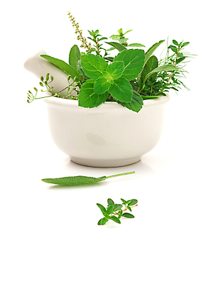 포토 JPG 해외이미지 식물 전통 과학 백그라운드 컨셉 잎 채소 재료 자연 유리 건강 요리 사람없음 목재 치료 초록색 약 스파 나뭇가지 신선 양념 약초 약국 민트 허브 향신료 유기농 아로마 향 아로마테라피 테라피 로즈메리 내추럴 보충 돌봄 백리향 에센스 치료제 해외202004 해외포토 나무 웰빙 컬러 의학 모션 재질 뷰티 화장품 풀_식물 생태계 향미료 파일형식 이미지허브