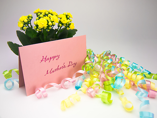 포토 JPG 해외이미지 디자인 여자 기념일 꽃 행복 리본 종이 어린이 분홍색 백그라운드 텍스트 가족 엄마 휴가 기념 선물 사랑 미술 이벤트 사람없음 장식 노란색 라벨 흰색 하트 축하 인사 신용카드 메시지 달콤 엽서 초대 특별함 어머니의날 해외202004 해외포토 모양 식물 감정 컬러 컨셉 관계 문화예술 프레임 사람 금융 예절 맛 편지 미국문화 파일형식 이미지허브