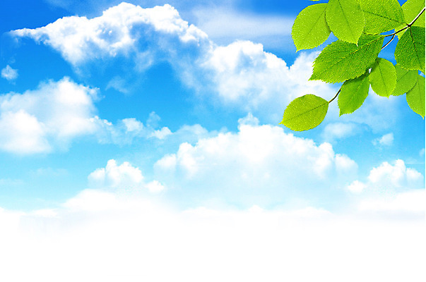 포토 JPG 해외이미지 나무 식물 구름 계절 꽃 호수 백그라운드 단풍 잎 밭 자연 하늘 날씨 추상 사람없음 야외 초록색 물 여름 파란색 빛 강 컬러풀 태양 반사 환경 정원 봄 성장 벚꽃 나뭇가지 신선 체리 숲 유기농 원예 해외202004 해외포토 자연요소 웰빙 컬러 무늬 농업 과일 취미 생태계 파일형식 이미지허브