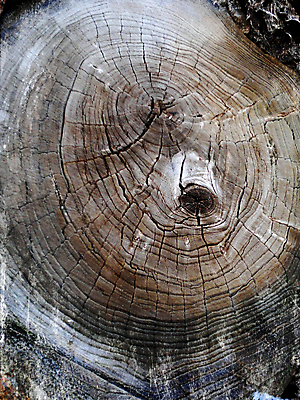 포토 JPG 해외이미지 벽 백그라운드 표면 날씨 추상 거리 프레임 돌담 사람없음 검은색 어둠 블록 손상 수확 골동품 바위 도시 점 얼룩 거친 균열 질감 복고 시멘트 먼지 스크래치 그런지 옛날 콘크리트 핸드메이드 해외202004 해외포토 컬러 컨셉 무늬 농업 모션 담장 돌_바위 파일형식 이미지허브