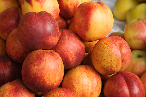 포토 JPG 해외이미지 잡화 음식 백그라운드 농업 다이어트 오렌지 과일 재료 자연 디저트 건강 사람없음 빨간색 여름 노란색 신선 그룹 시장 달콤 맛 사과 먹기 오브젝트 상쾌 유기농 날것 복숭아 내추럴 숙성 채식주의자 천도복숭아 해외202004 해외포토 웰빙 계절 감정 산업 컬러 컨셉 모션 생태계 채식 파일형식 이미지허브