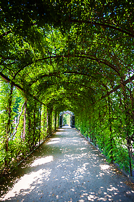 포토 JPG 해외이미지 나무 식물 계절 공원 길 여행 잎 건축양식 자연 사랑 풍경 사람없음 초록색 여름 정원 침묵 산책 나뭇가지 복도 터널 아치 내추럴 방법 해외202004 해외포토 공공시설 건축 감정 컬러 휴식 소리 생태계 파일형식 이미지허브