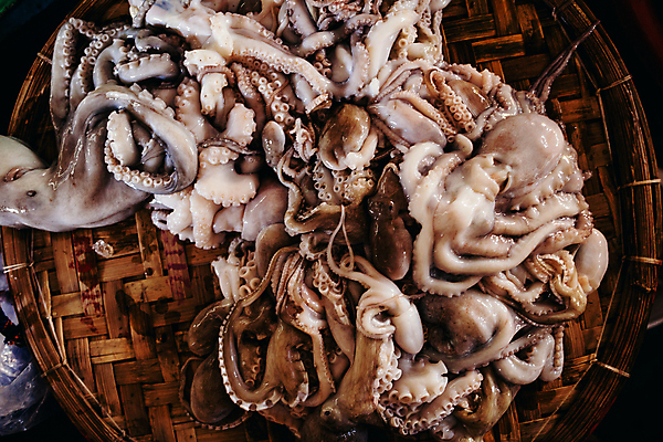 포토 JPG 해외이미지 전통 음식 바다 분홍색 자연 건강 육류 요리 사람없음 상점 얼음 회색 추위 신선 시장 해산물 날것 베트남 문어 지역 촉수 어장 내추럴 많음 해외202004 해외포토 자연요소 컬러 컨셉 식재료 연체동물 동남아시아 수중동물 생태계 파일형식 이미지허브