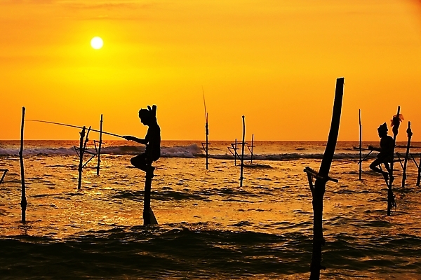 포토 JPG 해외이미지 직업 실루엣 전통문화 파도 바다 여행 자연 하늘 낚시 사람 앉기 풍경 사람없음 물 여름 햇빛 태양 환경 황혼 일몰 새벽 업무 뜨거움 막대기 낚시꾼 명승지 스리랑카 해외202004 해외포토 자연요소 전통 계절 아시아 문화 모션 레저 촬영기법 노을 작업 생태계 파일형식 이미지허브