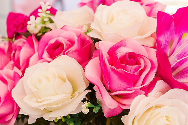 포토 JPG 해외이미지 식물 디자인 꽃 분홍색 꽃다발 잎 꽃무늬 텍스트 발렌타인데이 선물 사랑 미술 사람없음 장식 컬러풀 장미 꽃병 벚꽃 흰색 직물 신선 플라스틱 다발 묘사 데이지 만들기 거짓 인공 핸드메이드 해외202004 해외포토 감정 컬러 무늬 모션 데이이벤트 재질 문화예술 파일형식 이미지허브