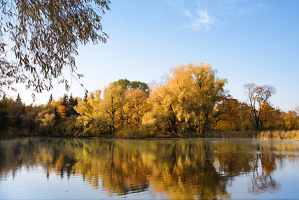 포토 JPG 해외이미지 나무 계절 공원 호수 잎 패턴 자연 하늘 사람없음 물 파란색 빛 강 반사 노란색 검은색 가을 나뭇가지 정상 숲 9월 10월 해외202004 해외포토 자연요소 식물 공공시설 컬러 무늬 날짜 생태계 파일형식 이미지허브