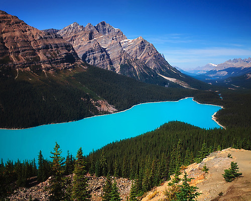 포토 JPG 해외이미지 나무 구름 공원 호수 여행 캐나다 자연 하늘 휴가 산 안테나 파노라마 풍경 사람없음 야외 초록색 물 파란색 머리 여행객 평화 계곡 하이킹 소나무 황무지 숲 그림 빙하 여우 장면 지역 북쪽 내추럴 밴프 빙원 앨버타 웅장함 전국 절정 터키석 해외202004 해외포토 자연요소 식물 공공시설 컬러 컨셉 북아메리카 통신 포유류 레저 촬영기법 사람 신체부위 보석 방향 생태계 파일형식 이미지허브