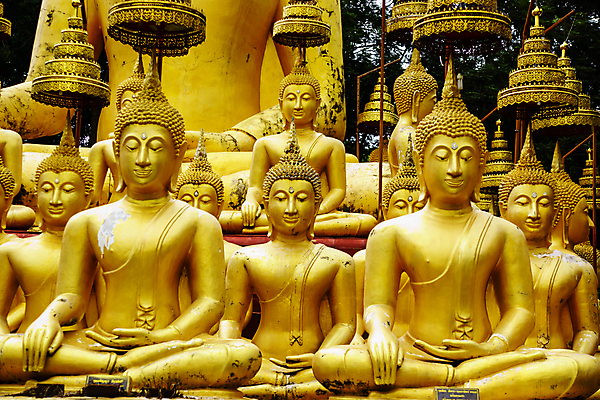 포토 JPG 해외이미지 나무 식물 구름 아시아 백그라운드 잎 불교 태국 벽지 하늘 동양인 사람없음 야외 초록색 여름 파란색 정원 맑음 시골 신선 사찰 황금 해외202004 해외포토 자연요소 계절 나라 종교 컬러 종교건축 날씨 인종 파일형식 이미지허브