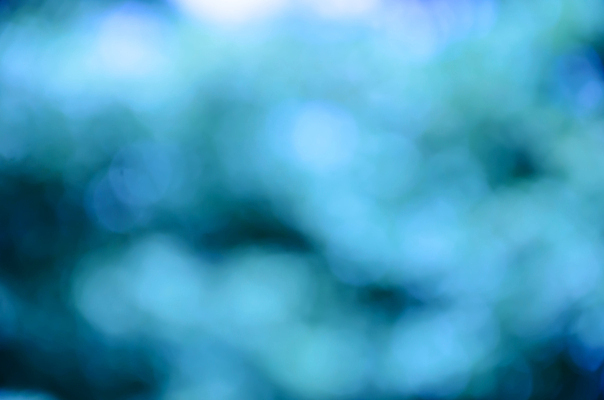 포토 JPG 해외이미지 식물 디자인 계절 백그라운드 잎 크리스마스 패턴 자연 하늘 추상 사람없음 빨간색 초록색 여름 파란색 빛 컬러풀 햇빛 환경 맑음 봄 활발 소프트포커스 숲 질감 보케 부드러움 내추럴 광 블러 생태학 효과 해외202004 해외포토 교육 기념일 컬러 컨셉 무늬 날씨 촬영기법 태양 감각 생태계 파일형식 이미지허브