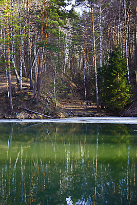 포토 JPG 해외이미지 주간 계절 자연 사람없음 야외 목재 초록색 물 강 반사 우주 환경 봄 연못 소나무 숲 4월 5월 침엽수 자작나무 시베리아 해외202004 해외포토 자연요소 나무 컬러 재료 날짜 생태계 파일형식 이미지허브
