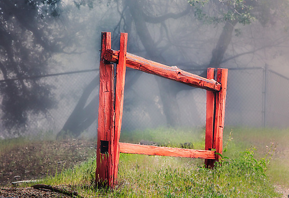 포토 JPG 해외이미지 벽 잎 패턴 건축양식 자연 표면 날씨 추상 프레임 사람없음 야외 건물 목재 빨간색 초록색 빛 울타리 컬러풀 어둠 수확 안개 골동품 판넬 원형 보호 질감 펜싱 내추럴 수목 옛날 해외202004 해외포토 도형 나무 식물 건축물 건축 스포츠 컬러 컨셉 무늬 농업 재료 담장 생태계 파일형식 이미지허브
