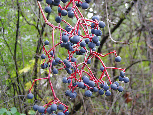 포토 JPG 해외이미지 사람없음 해외202004 해외포토 파일형식 이미지허브
