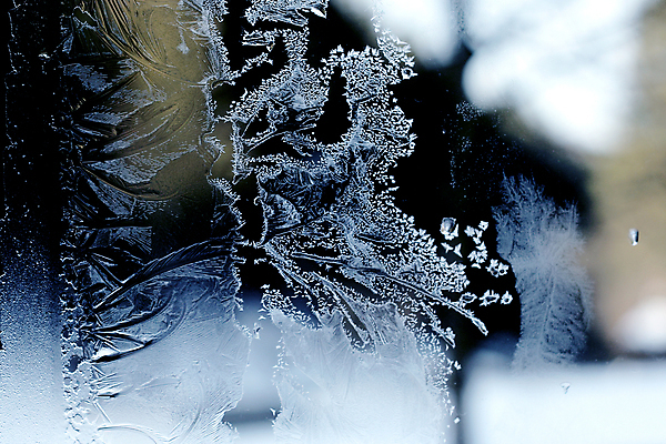 포토 JPG 해외이미지 디자인 계절 꽃 백그라운드 크리스마스 겨울 패턴 창문 자연 유리 날씨 추상 불꽃 사람없음 장식 파란색 빛 얼음 추위 흰색 투명 눈송이 크리스탈 연도 질감 서리 상승 북쪽 온도 내추럴 반투명 해외202004 해외포토 자연요소 식물 기념일 컬러 컨셉 무늬 재질 불 눈_날씨 광석 방향 생태계 파일형식 이미지허브