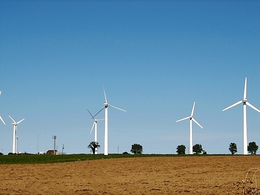 포토 JPG 해외이미지 사람없음 초록색 환경 힘 풍차 에너지 생태계 해외202004 해외포토 컬러 파일형식 이미지허브