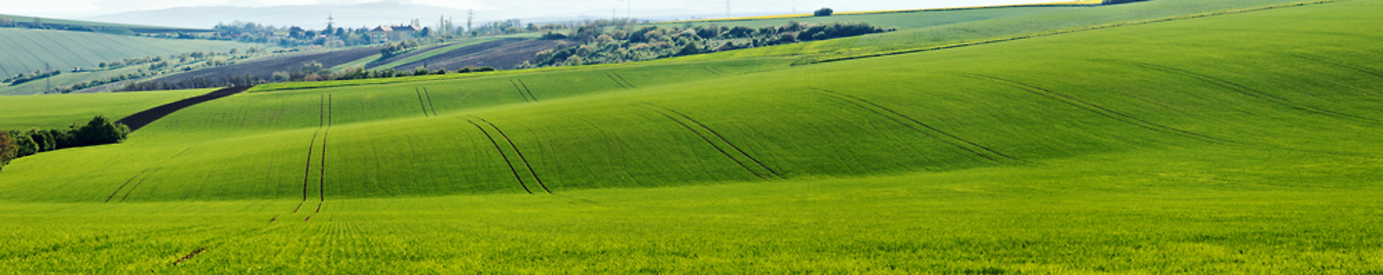 포토 JPG 해외이미지 나무 선 파도 백그라운드 농업 자연 휴식 거리 파노라마 숙이기 풍경 경사 사람없음 야외 초록색 농작물 햇빛 마을 맑음 봄 시골 4월 땅 언덕 긍정 체코 파종 모라비아 해외202004 해외포토 식물 계절 유럽 산업 바다 컬러 포즈 컨셉 날씨 촬영기법 태양 농사 날짜 생태계 파일형식 이미지허브