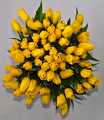 포토 JPG 해외이미지 식물 계절 꽃 유럽 꽃다발 백그라운드 잎 자연 발렌타인데이 사랑 사람없음 야외 초록색 컬러풀 노란색 세일 정원 보라색 봄 튤립 벚꽃 하트 축하 신선 시장 닫기 정상 이슬 큼 가격 5월 꽃집 네덜란드 엽서 내추럴 많음 해외202004 해외포토 모양 감정 나라 컬러 컨셉 모션 데이이벤트 상점 날짜 크기 편지 생태계 파일형식 이미지허브