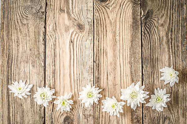 포토 JPG 해외이미지 식물 꽃잎 꽃 백그라운드 패턴 자연 탁자 휴가 사람없음 목재 장식 가로 갈색 노란색 벚꽃 흰색 향기 모음 구성 해외202004 해외포토 나무 컬러 가구 무늬 재료 한글 생태계 냄새 파일형식 이미지허브