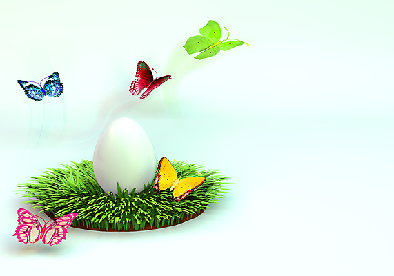 포토 JPG 해외이미지 식물 전통 계절 행복 나비 오렌지 자연 휴가 부활절 이벤트 사람없음 장식 빨간색 초록색 파란색 노란색 3D 정원 계란 축제 봄 벚꽃 나뭇가지 축하 신선 그리기 심볼 활 숨김 숨기 스타일 해외202004 해외포토 나무 기념일 꽃 감정 컬러 곤충 컨셉 과일 모션 알 디지털합성 생태계 파일형식 이미지허브